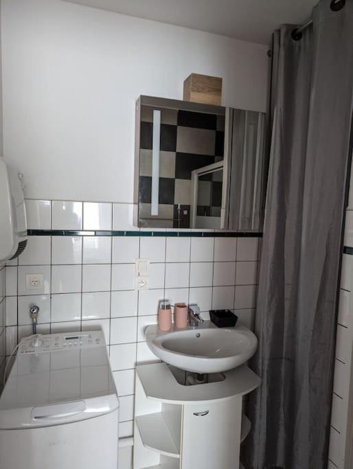 Appartement Plein Centre Saint Die Des Vosges Экстерьер фото