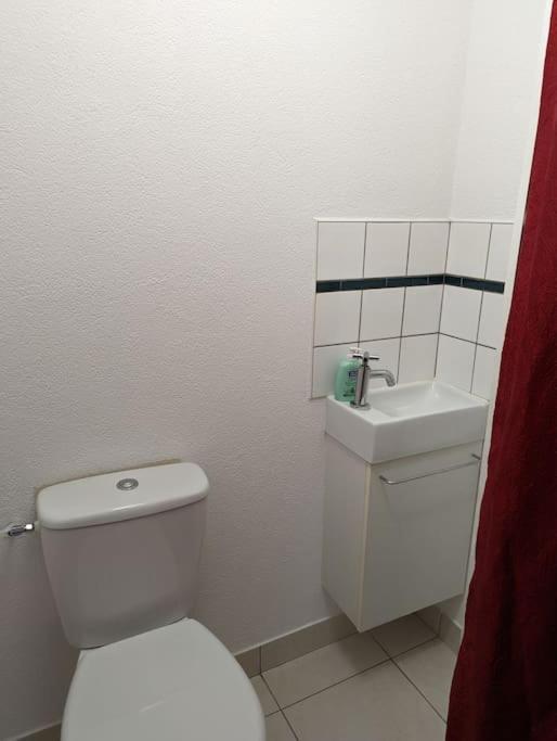 Appartement Plein Centre Saint Die Des Vosges Экстерьер фото